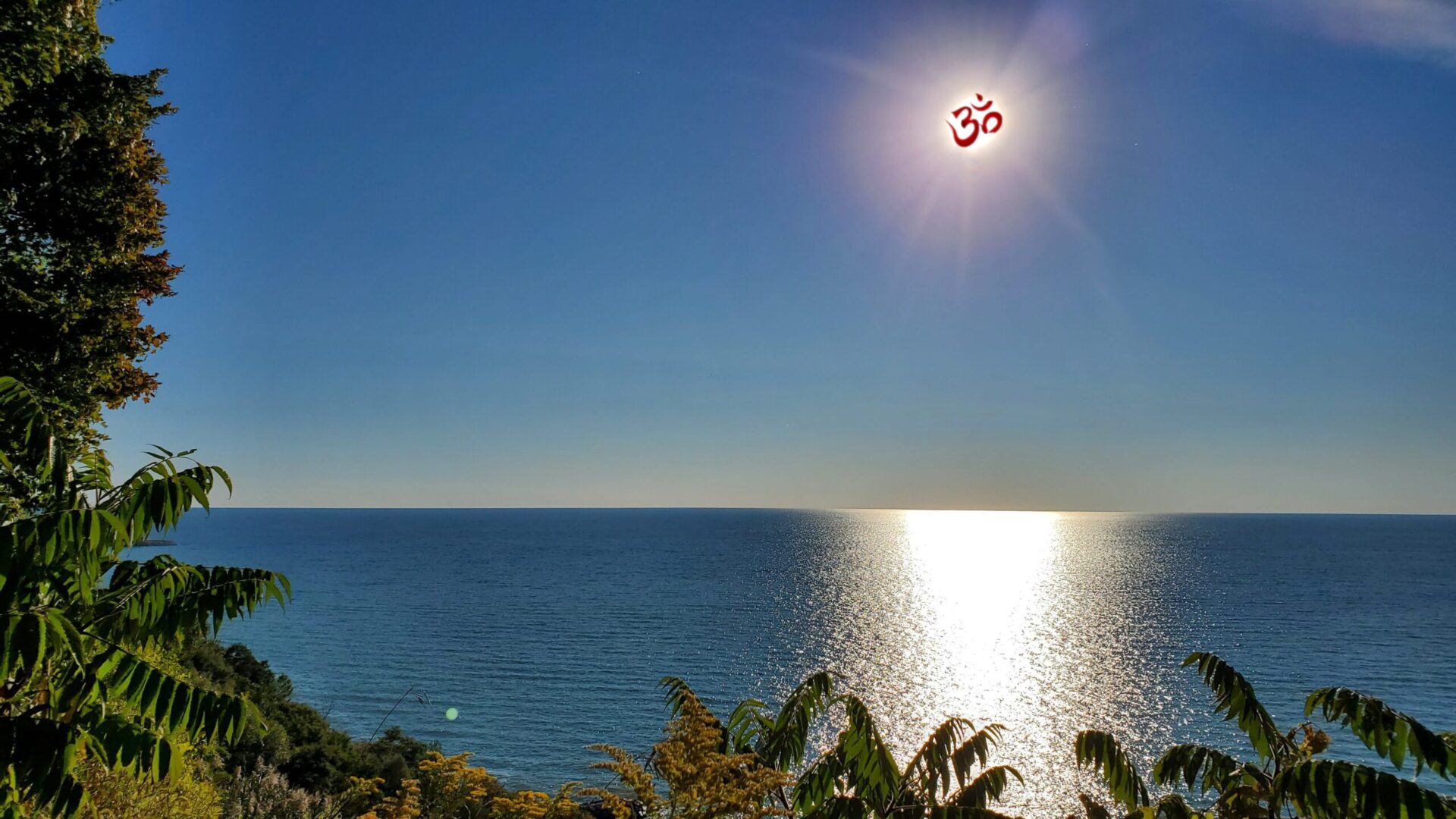 Lucid Sapiens episode image 0