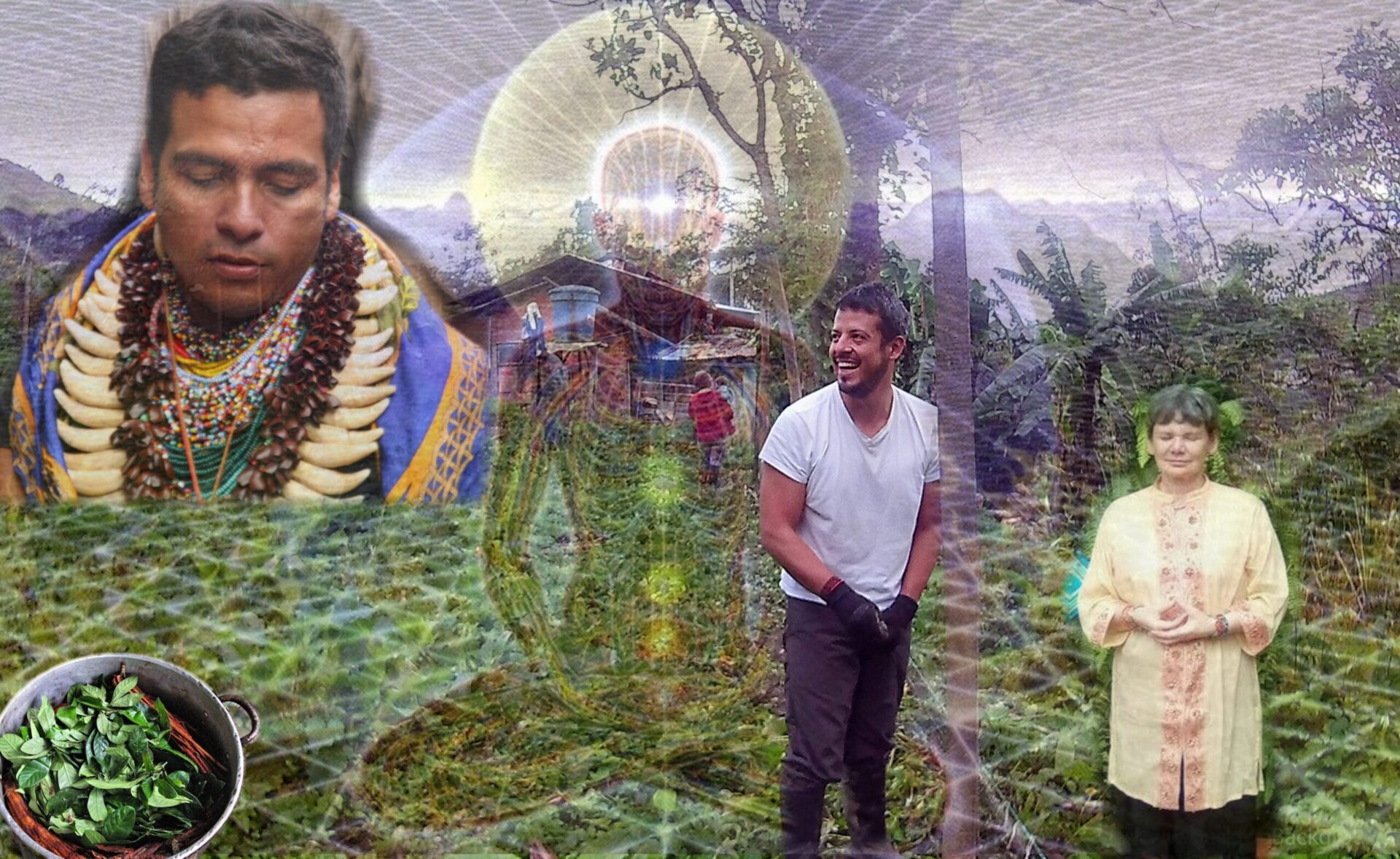 Lucid Sapiens episode image 0