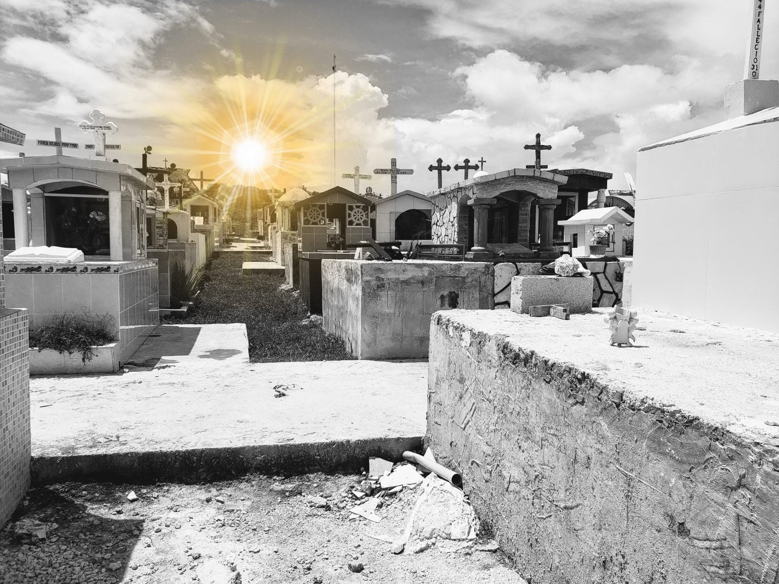 Lucid Sapiens episode image 0