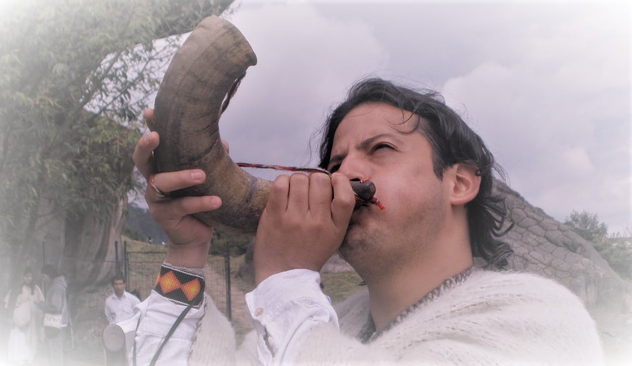 Lucid Sapiens episode image 0